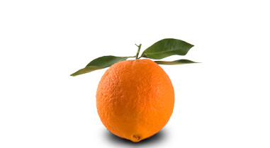 Orangen