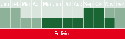 Endivien