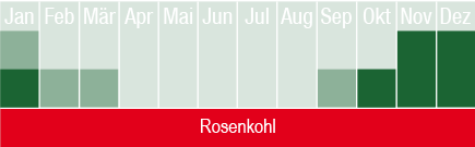 Rosenkohl