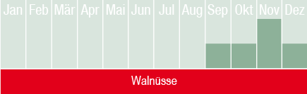 Walnüsse