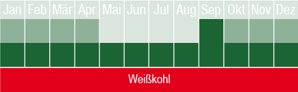 Weißkohl